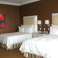 広くて清潔感のある客室でした