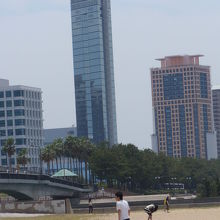 タワーからすぐ近く。。