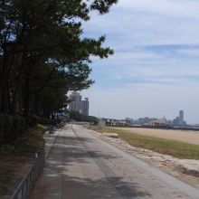 晴れの日が似合う。。