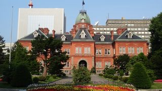 写真撮影は午前早い時間がお勧め