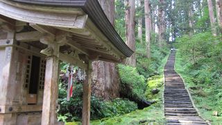 山頂までバスで行ける