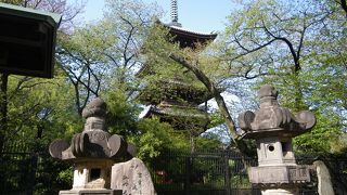 上野東照宮の参道から見えました