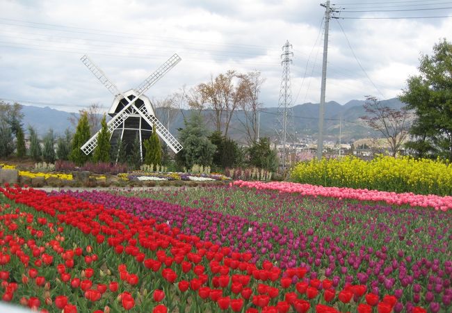 ハーブ庭園旅日記 クチコミ アクセス 営業時間 勝沼 塩山 フォートラベル ハーブ庭園旅日記 クチコミ アクセス 営業時間 勝沼 塩山 フォートラベル