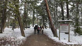 冬の天橋立もなかなかいいです。