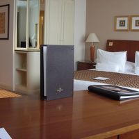 やや狭めだが、快適なお部屋であった