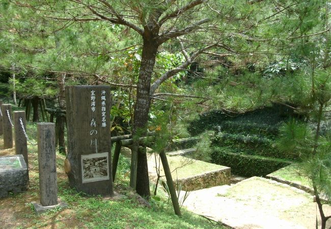 森の川 クチコミ アクセス 営業時間 宜野湾 北谷 中城 フォートラベル