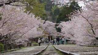 インクラインは36mの高低差を船を運ぶための線路だった