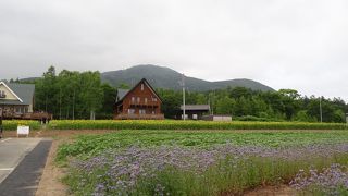 高橋牧場ミルク工房に隣接しています