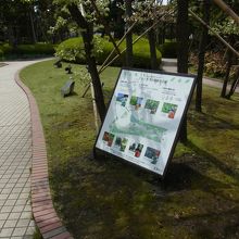 彫刻と緑が多い屋上です。