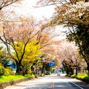 ドライブで行くのが楽しい