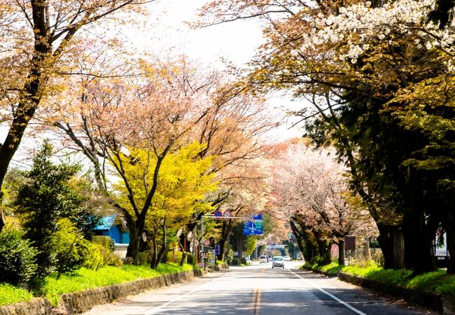 ドライブで行くのが楽しい