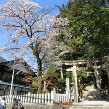 繁華街から近いから気軽に立ち寄れます