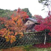 茶席と紅葉と光悦垣が見事な庭園