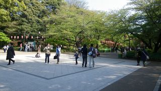 １日かけて散策してください。