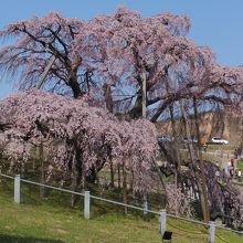 ３６０度それぞれに絵になります
