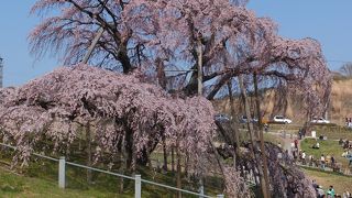 シャトルバスは途中下車可能です