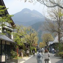 湯の坪街道と由布岳