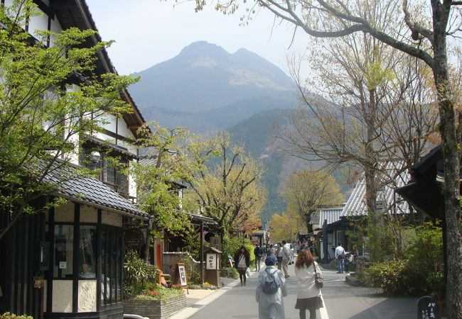 湯の坪街道と由布岳