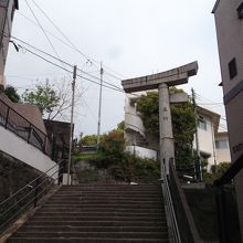 山王神社・鳥居