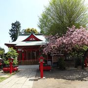 参道に立派な鳥居