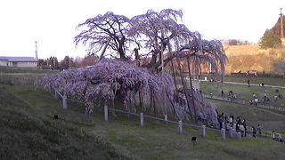 長年の夢がかない出会えた