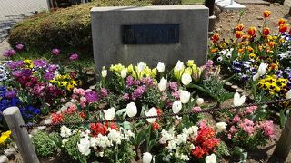 山の上の広い公園