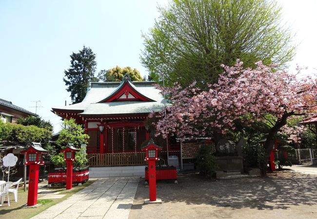 参道に立派な鳥居