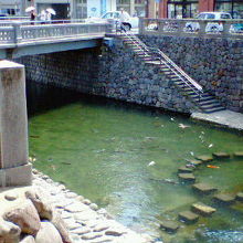 川岸に降りれる場所があり、鯉が集まります。