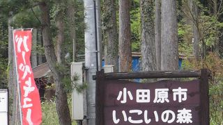 フォレストアドベンチャー 小田原 クチコミ アクセス 営業時間 小田原 フォートラベル