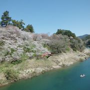 桜がきれいでした：桜淵公園