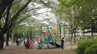 遊具が増えました。