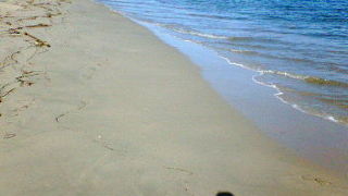 天橋立の松林の先に広がる静かなビーチ