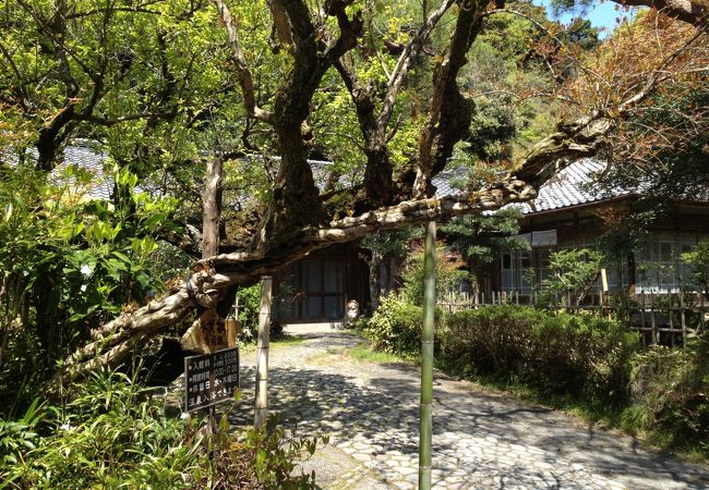 平賀敬美術館 クチコミ アクセス 営業時間 箱根湯本温泉 フォートラベル 平賀敬美術館 クチコミ アクセス 営業時間 箱根湯本温泉 フォートラベル