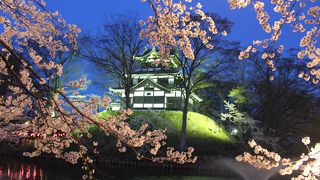 日本三大夜桜です。