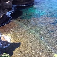 海の青さに感激！