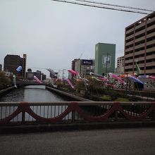 堺駅近くの川に毎年かかる鯉のぼりを撮りました。