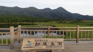 クマ出没のため地上遊歩道は閉鎖