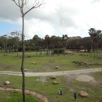 廊下からもこの景色が楽しめます