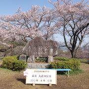 日本のさくらの名所百選の大法師公園は２０００本のソメイヨシノが咲く所