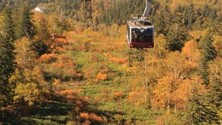紅葉の山を眼下に10分の空中散歩