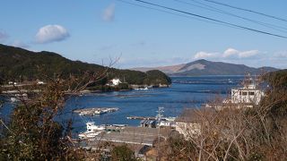 浦村牡蠣を安心して、たっくさん召し上がって！