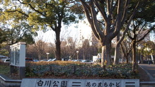 美術館と科学館のある大きな公園