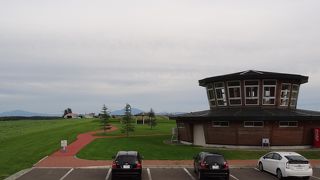 ‘遅咲きひまわり’はまだ開花前