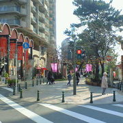 四季折々の花が並ぶ宝塚の散歩道