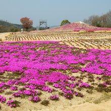 このような有様・・