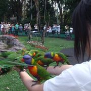 鳥だけじゃない、沢山の動物にふれあえます