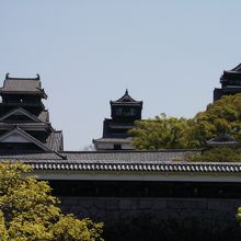 公園から天守閣 