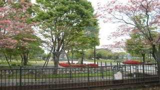 久留米市内一の大きな公園