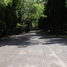 騎射流鏑馬場