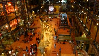 内部の雰囲気が好き